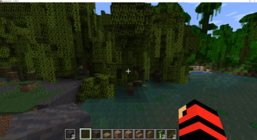 MANGROVE SWAMP(マングローブの沼)の特徴について