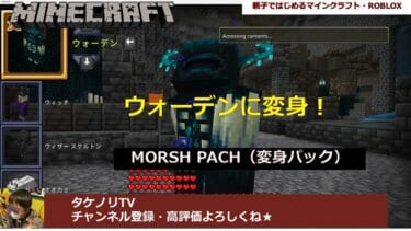 最新モブ(ウォーデンにも)に変身できるマーケットプレイスの「変身パック(MORPH PACK )」 アドオン・MODの概要と導入方法